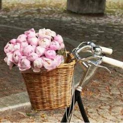 Grand Panier Sur Guidon De Vélo En Rotin Darcy L Basil 12 Grand Panier Sur Guidon De Vélo En Rotin Darcy L Basil -Accessoires De Vélo Soldes grand panier sur guidon de velo en rotin darcy l basil full 5