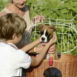 Kit Panier Vélo Chien Doggy Plus + Fixation GTA Klickfix 13 Kit Panier Vélo Chien Doggy Plus + Fixation GTA Klickfix -Accessoires De Vélo Soldes kit panier velo chien doggy plus fixation gta klickfix full 6