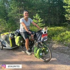 Sac De Vélo Pour Chien Doggy - KLICKfix 13 Sac De Vélo Pour Chien Doggy - KLICKfix -Accessoires De Vélo Soldes sac transport chat velo