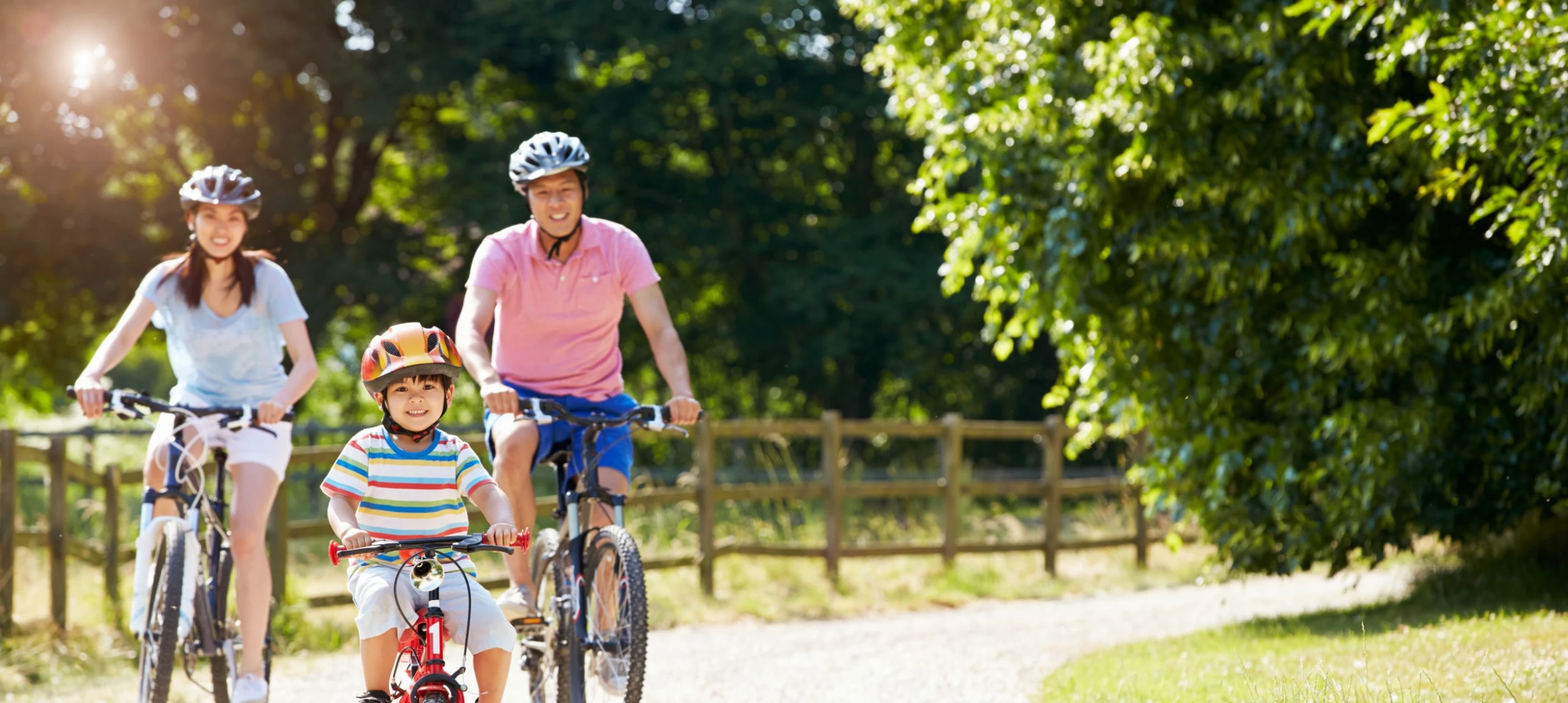 Accessoires De Vélo Soldes -Accessoires De Vélo Soldes Family BikeRiding scaled